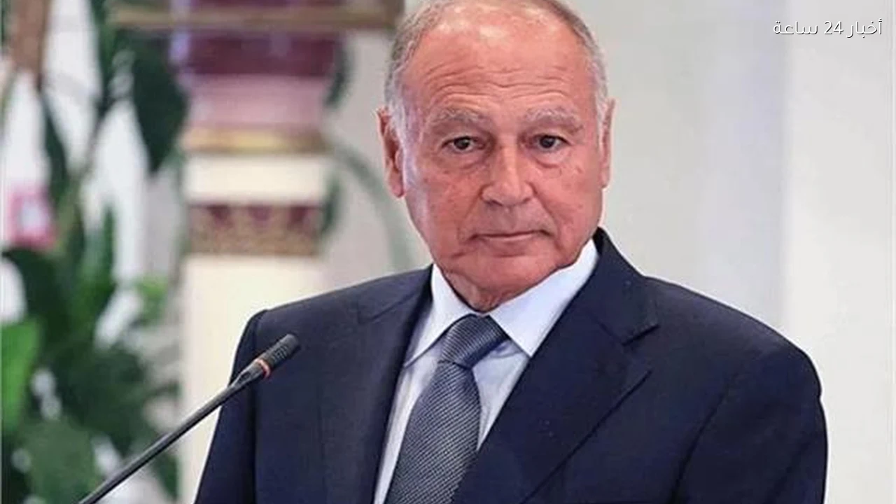 أبو الغيط: ضربة أكتوبر المرعبة لإسرائيل ربما ينسونها