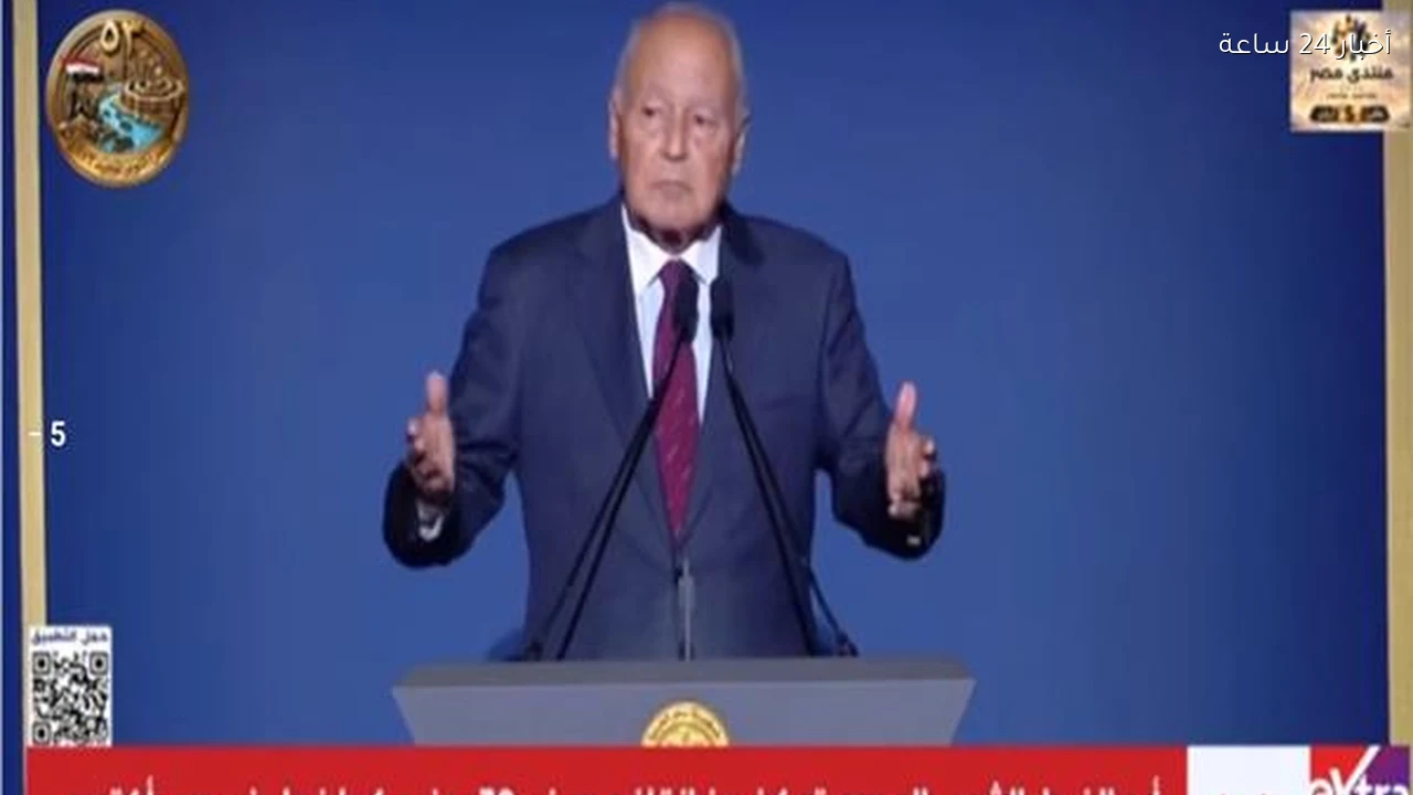 أبو الغيط: مصر تستحق أن تقف بين النمور الآسيوية بالمستوى نفسه