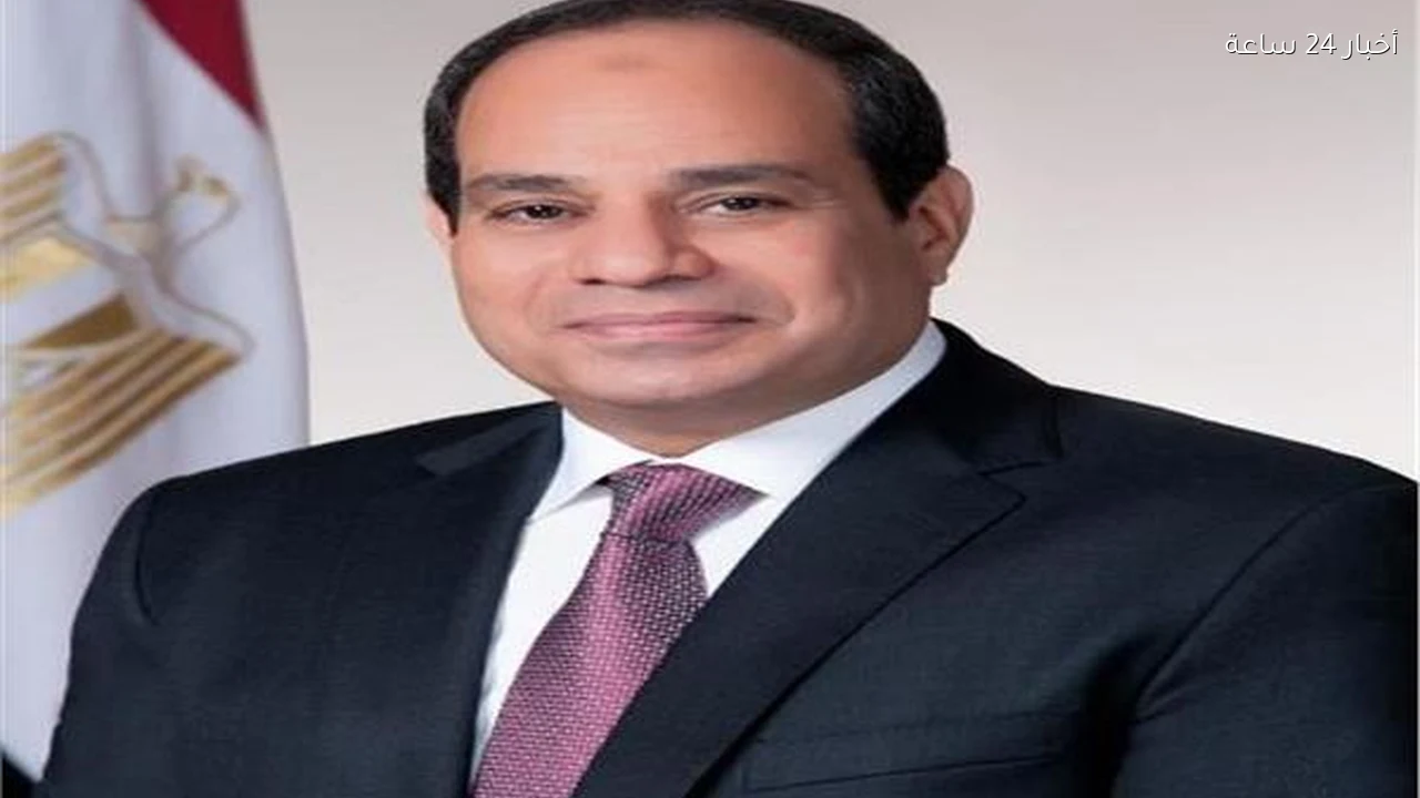 الرئيس السيسي هناك مخططات تستهدف تفكيك مؤسسات الدولة وشق الصف