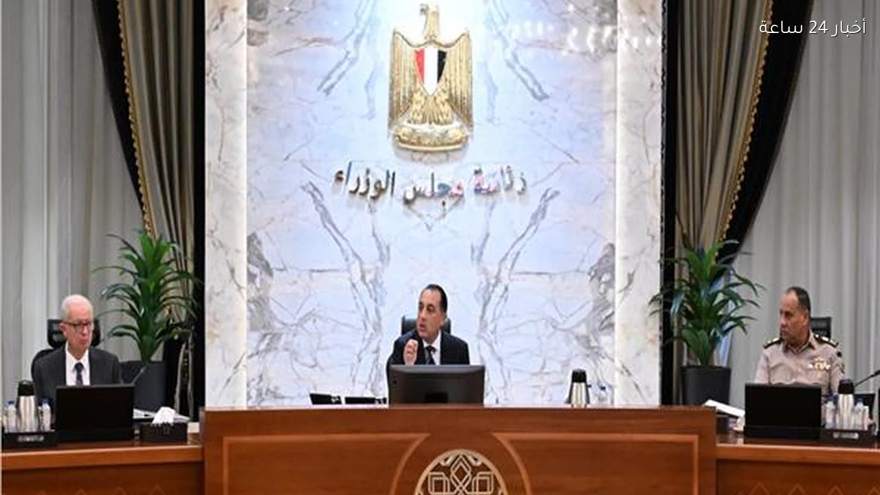 تنويع الشراكات الدولية «الوزراء» يثمن نتائج الجولة الآسيوية للرئيس السيسي