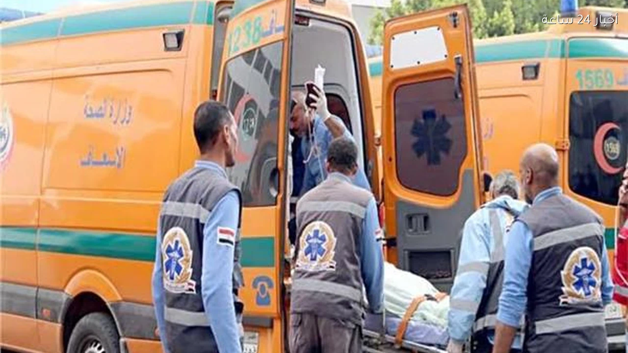 مصرع شابين في حادث تصادم بطريق خط 12 بالقليوبية